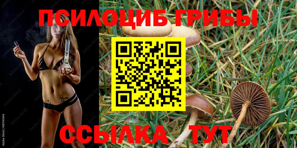 Галлюциногенные грибы Magic Shrooms  Галлюциногенные грибы GOLDEN TEACHER  дарнет шоп  Вход с VPN  Аша 