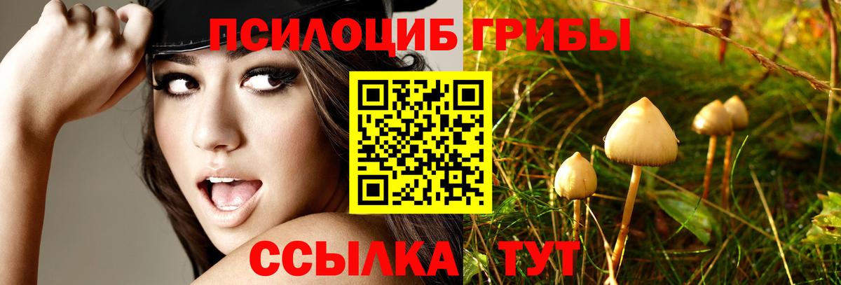 Псилоцибиновые грибы Magic Shrooms Аша
